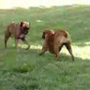 Meet your Posher, Mark